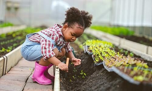 Trees in metropolis Environments